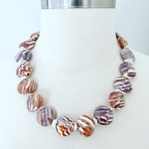 Shell Collection- Nautilus convex land snail shells – Willa Ford Designs