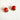 The Vivienne earrings - Red & Gold