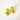 Studded Earrings - Chartreuse/Clear